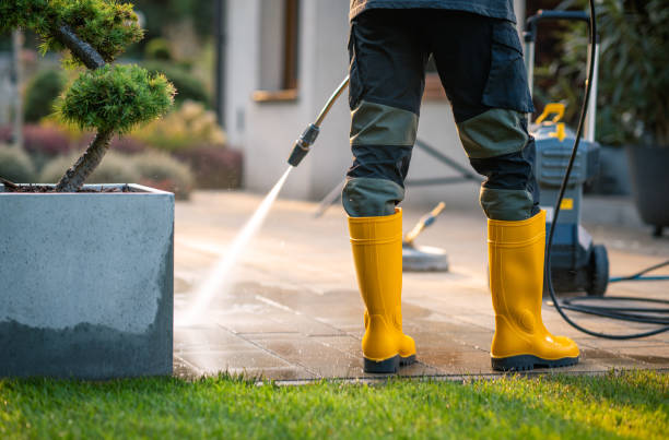 Best Commercial Building Pressure Washing  in Sunland Park, NM